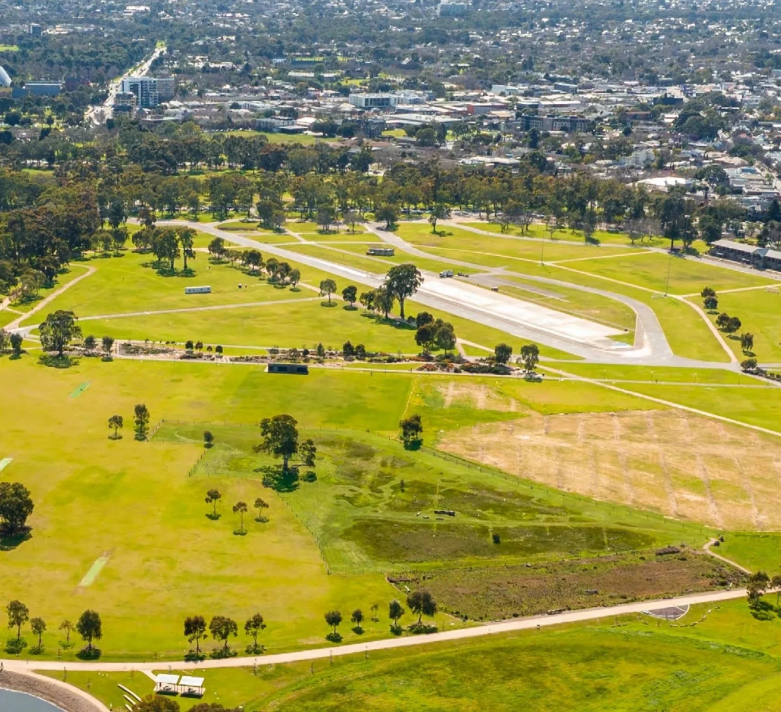 New plantings for Victoria Park