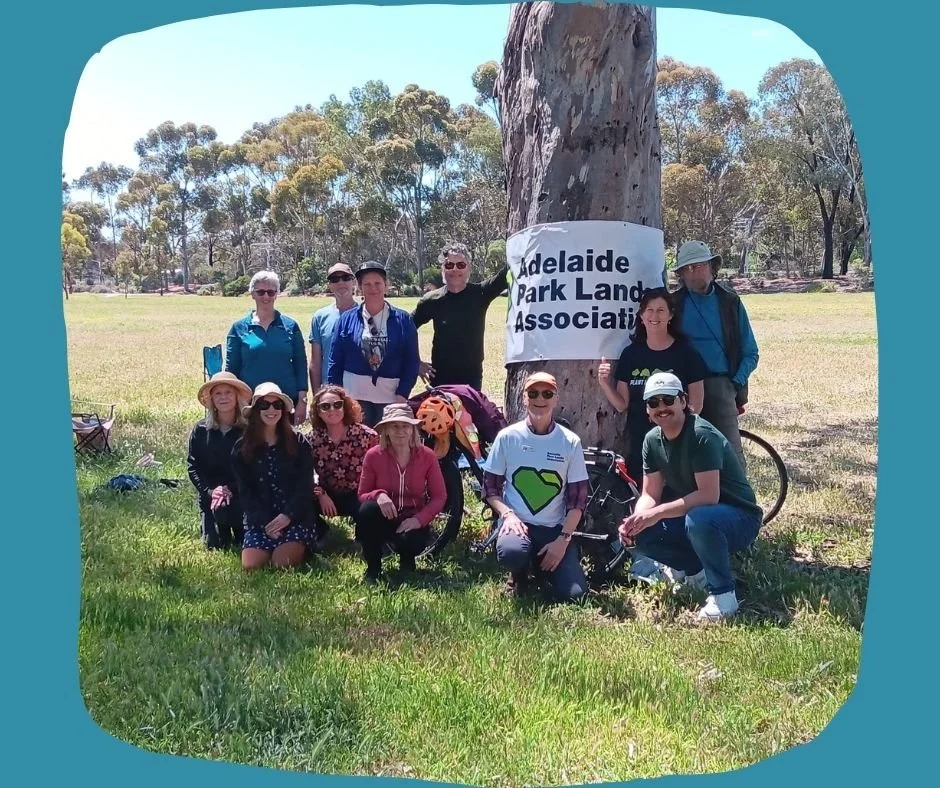 Fourteen people came along for our casual picnic and game of Finniska at J E Brown Park (Park 27A). on Sunday. The &quot;Inaugural John E Brown Fininska Trophy&quot; was won by Sue.

Thanks to all who came. Keep an eye out for future events.

Why the