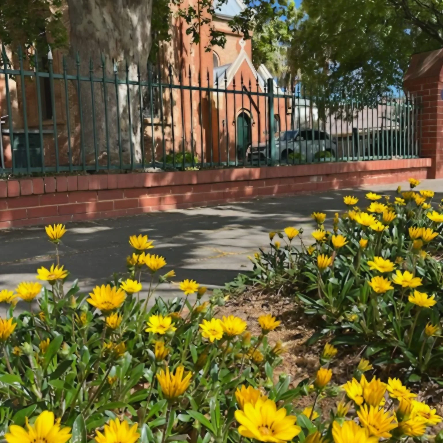 On Sunday, Christina Tilston joined our walk through North Adelaide&rsquo;s Parks 28 and 29. The tour began at Brougham Gardens, where APA guide, Orso, gave an excellent introduction to the history and layout of the area. Many of the trees in these b