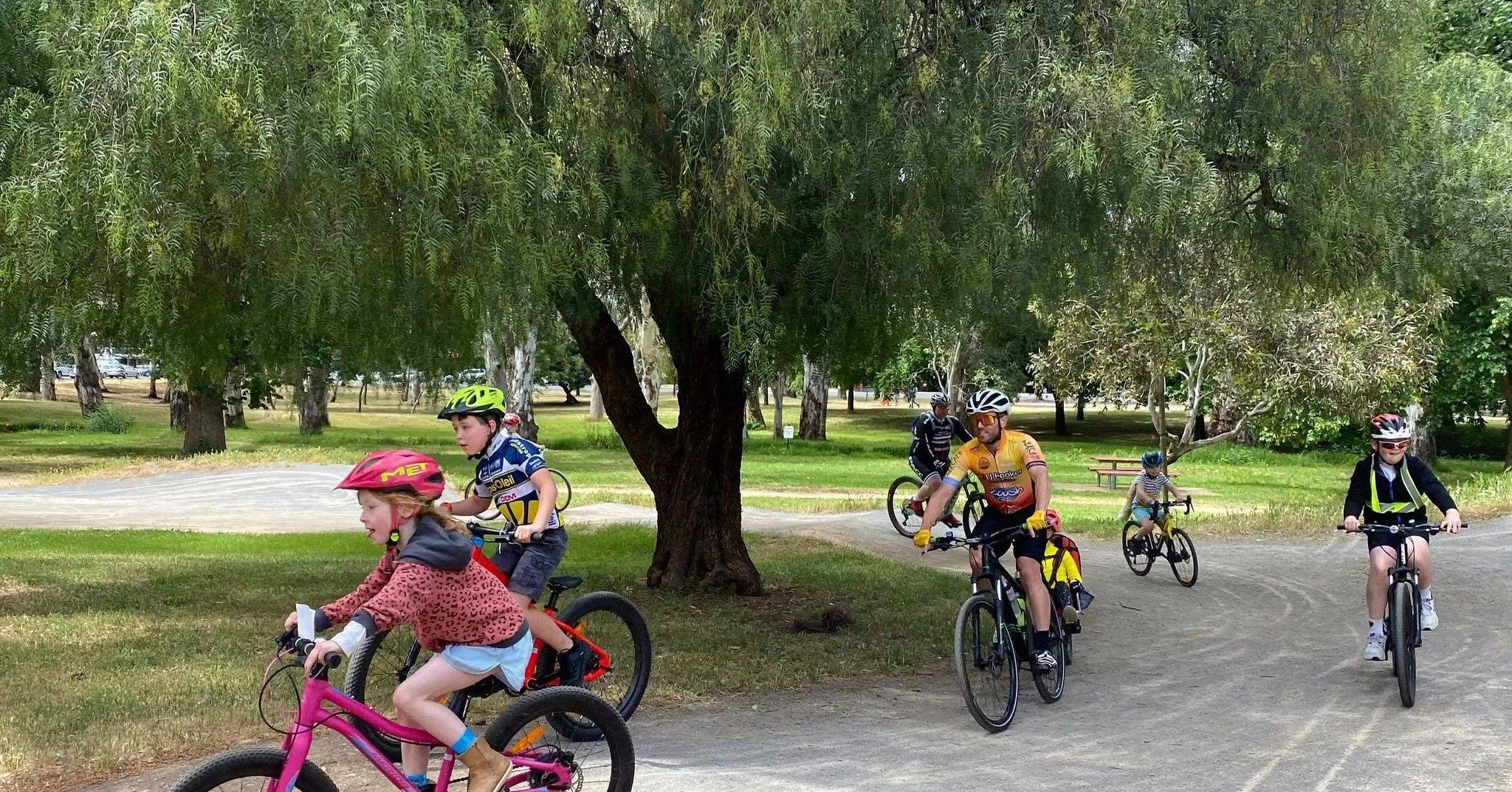 Our Guided Walk this Sunday is in the part of your #adelaideparklands that features more different sports than any other Park. Come with us through Blue Gum Park / Kurangga (Park 20) to see how many sports are played on these Open Green Public fields