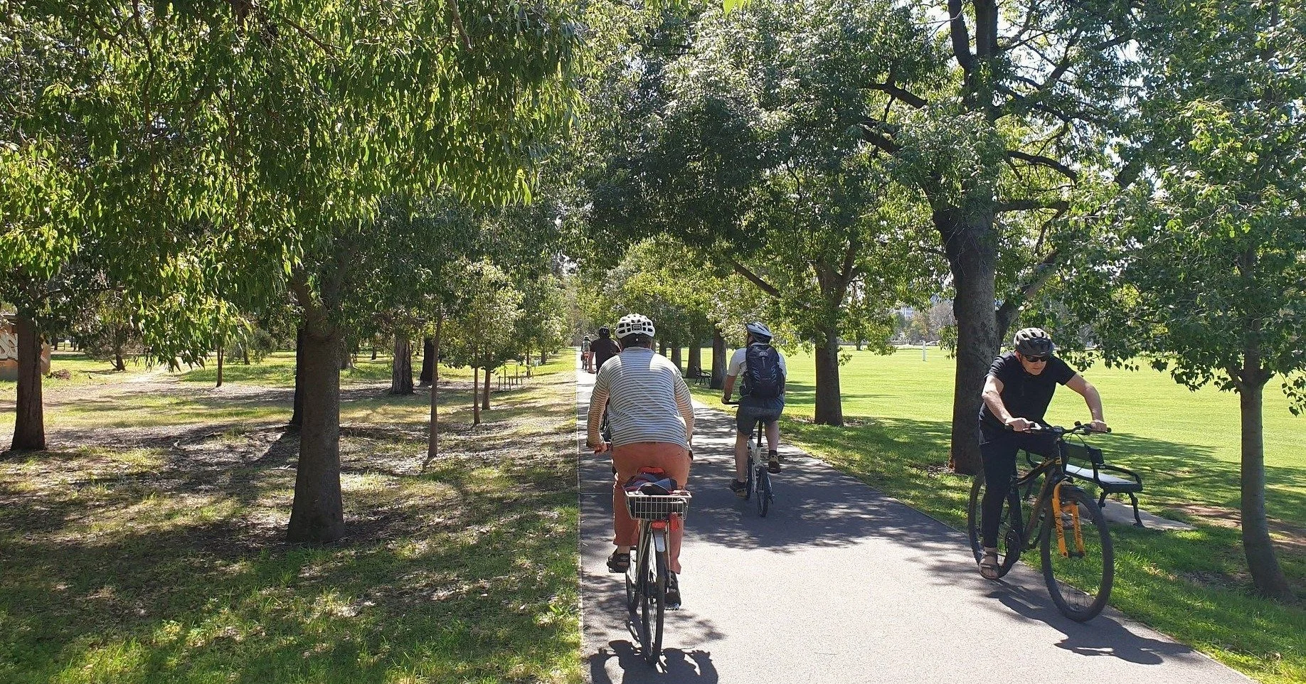 The pathways in Blue Gum Park /Kurangga (Park 20 of your #adelaideparklands) were laid out in the late 1800's and are still used every day, by commuting cyclists and pedestrians.  Hear the story of this Park's development over the years during our Gu