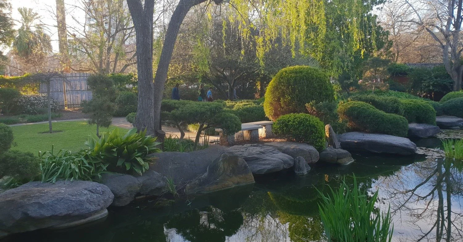 Our two-hour Guided Walk this Sunday through your SE #adelaideparklandss off Glen Osmond Road (Parks 18 &amp; 19) includes the story of the glorious Himeji Japanese Garden, and the century-old vine-covered pergola alongside it, plus much more at 18 l