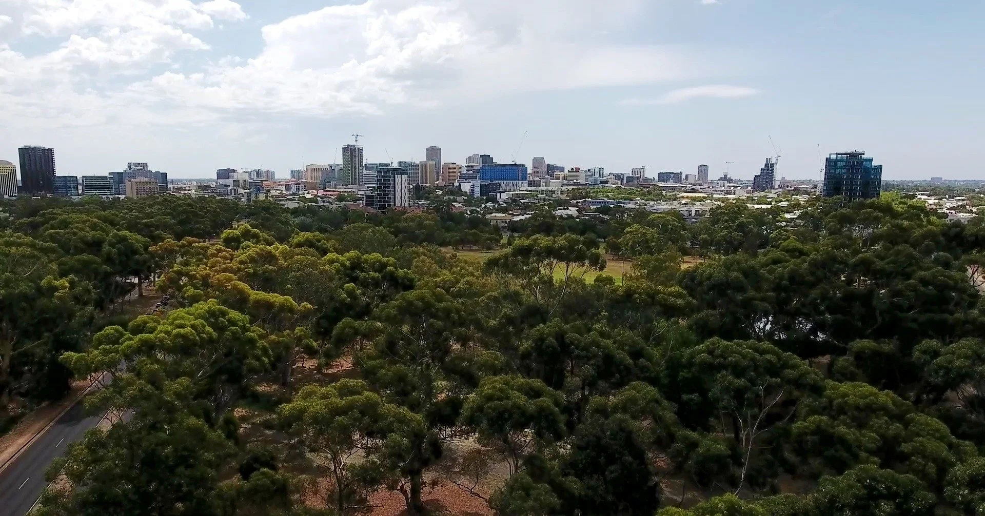 Our two-hour Guided Walk this Sunday through your SE #adelaideparklands off Glen Osmond Road (Parks 18 &amp; 19) includes a success story:  how these Park Lands have been revegetated over the decades; with what's now a thriving woodland and restored 