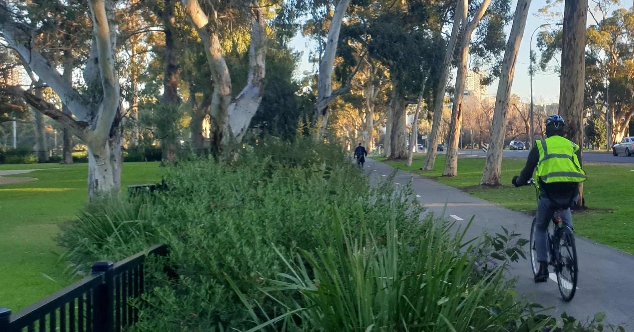Our two-hour Guided Walk this Sunday through your SE #adelaideparklands off Glen Osmond Road (Parks 18 &amp; 19) includes a visit to Adelaide's very first bicycle path, constructed in 1906, where it crosses over the South Park Lands creek. It's just 