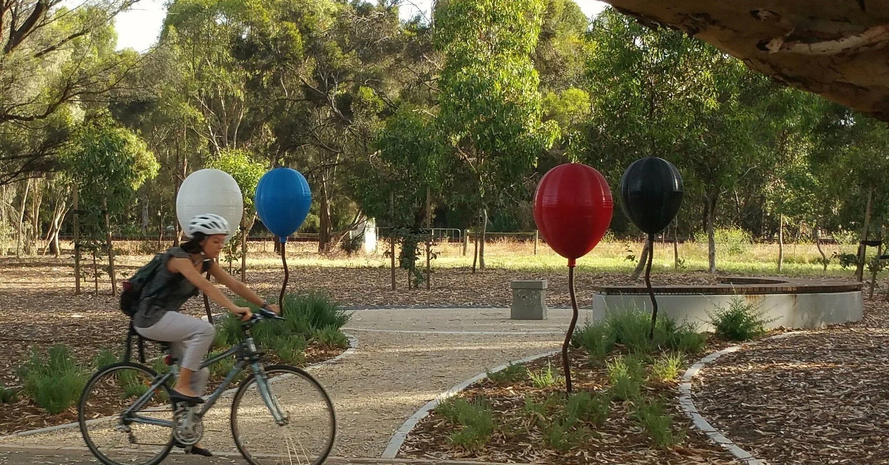 A tree for every worker who died on the job?  What happened to prompt that idea? Find out when we stop at the Deceased Workers Memorial Forest, during this Sunday's Guided Walk through Parks 27A and 27B of your #adelaideparklands. 

Click the link in