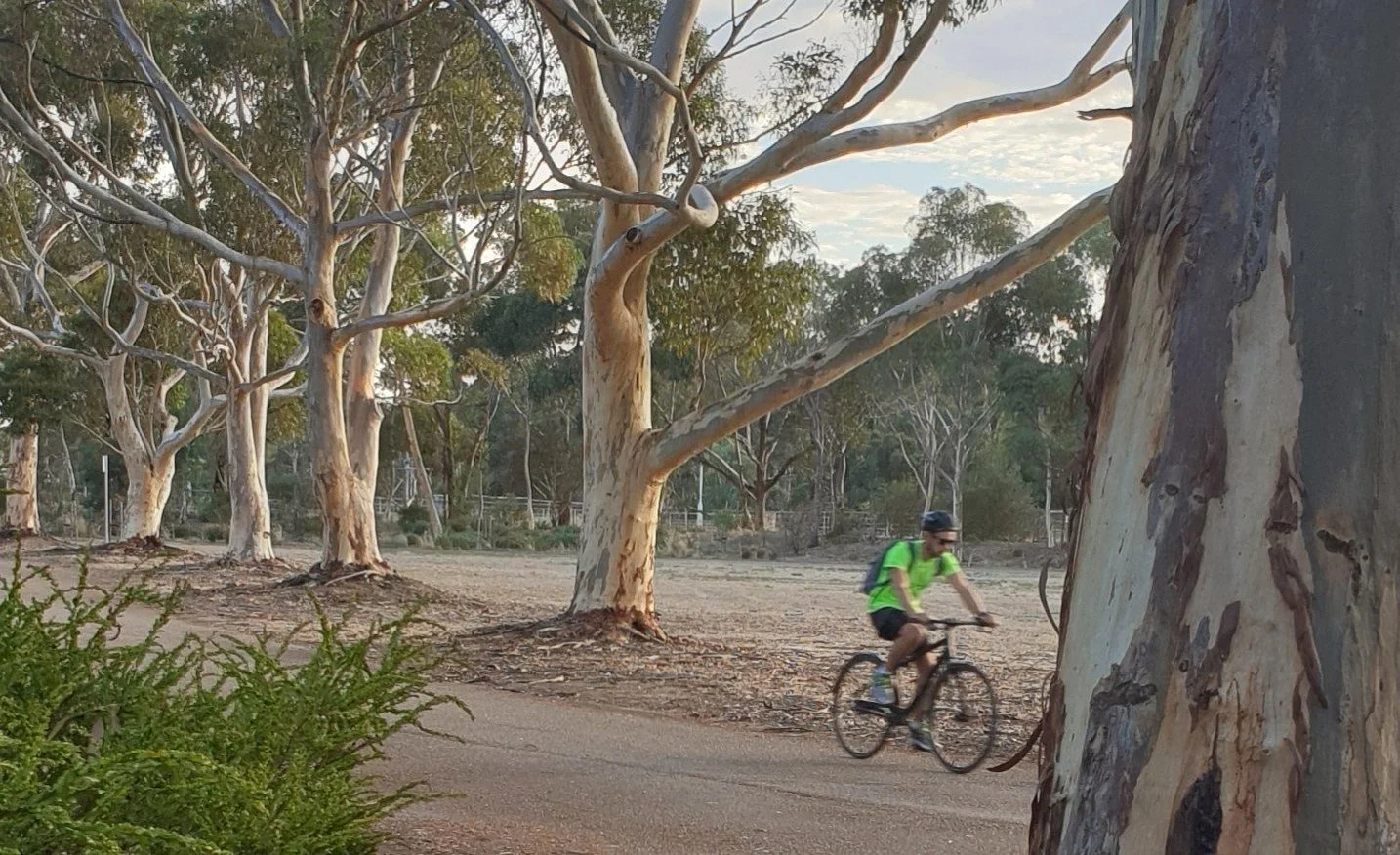 Our Guided Walk this Sunday through Parks 27A and 27B will highlight some of the tracks taken by pedestrian and cyclist city commuters: the scenic routes through your north-western #adelaideparklands. Find out what they know about how to beat the tra