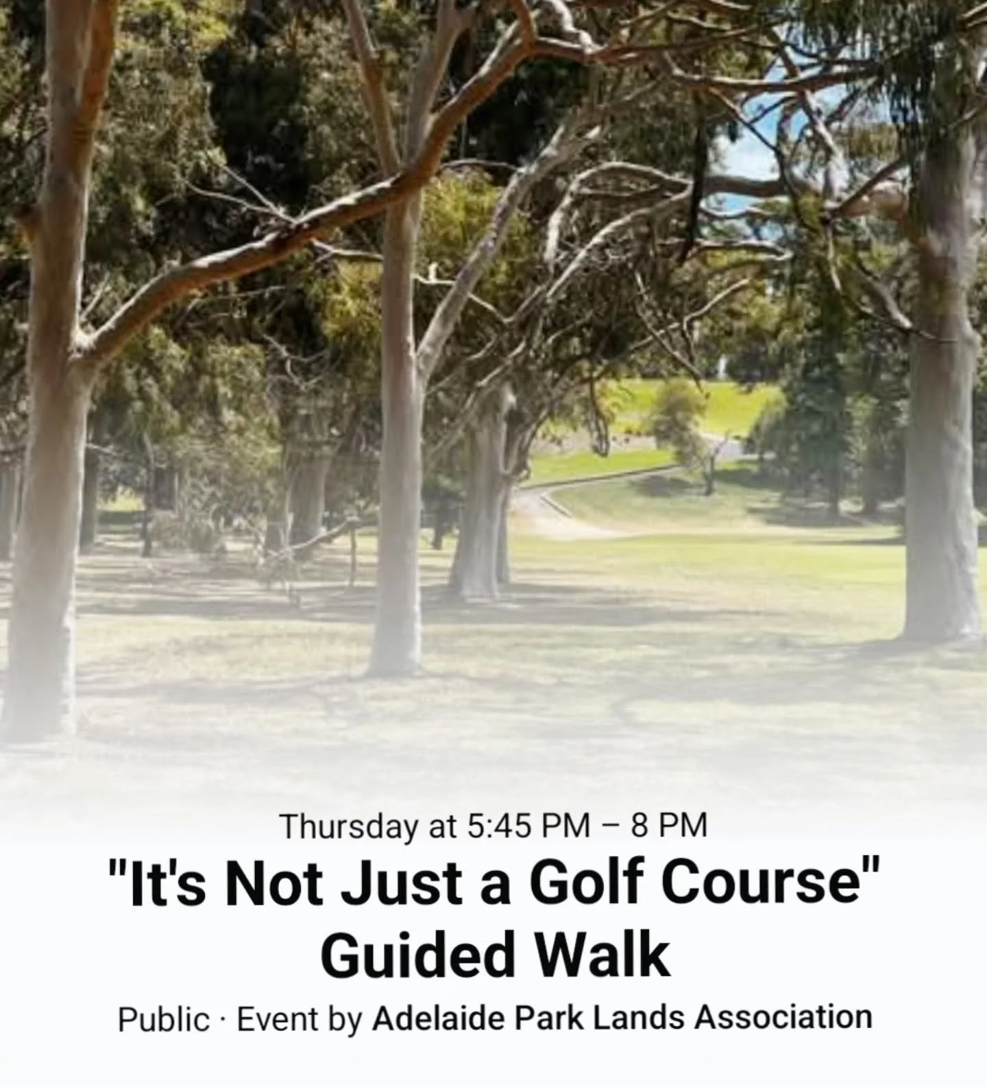 Join our twilight Guided Walk this Thursday 27 November from 5.45 pm, in-between the golf fairways on Possum Park / Pirltawardli (Park 1 of your Adelaide Park Lands).

Using the final two hours of daylight, we'll escort you along the winding tracks, 