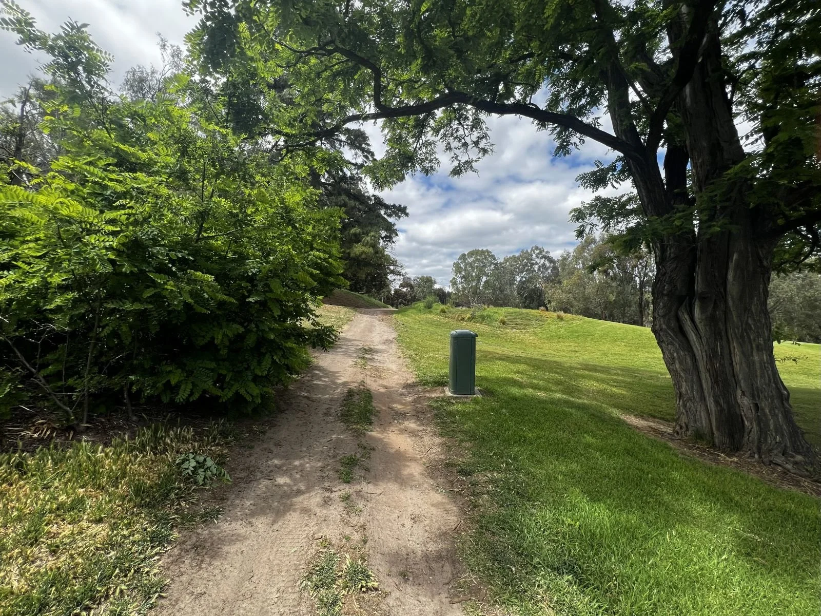 13-pathway emerge from left.jpg