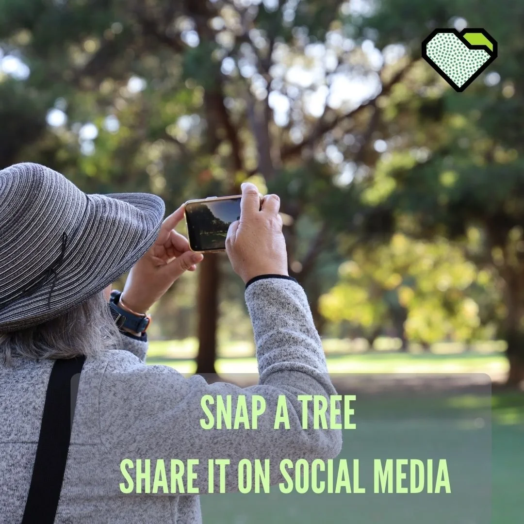 IT&rsquo;S NOT JUST A GOLF COURSE &ndash; TWILIGHT WALK THURSDAY

Our next twilight guided walk through Possum Park / Pirltawardli (Park 1) is this Thursday, 4 December.  We will wander winding tracks &mdash; weaving safely around golfers while uncov