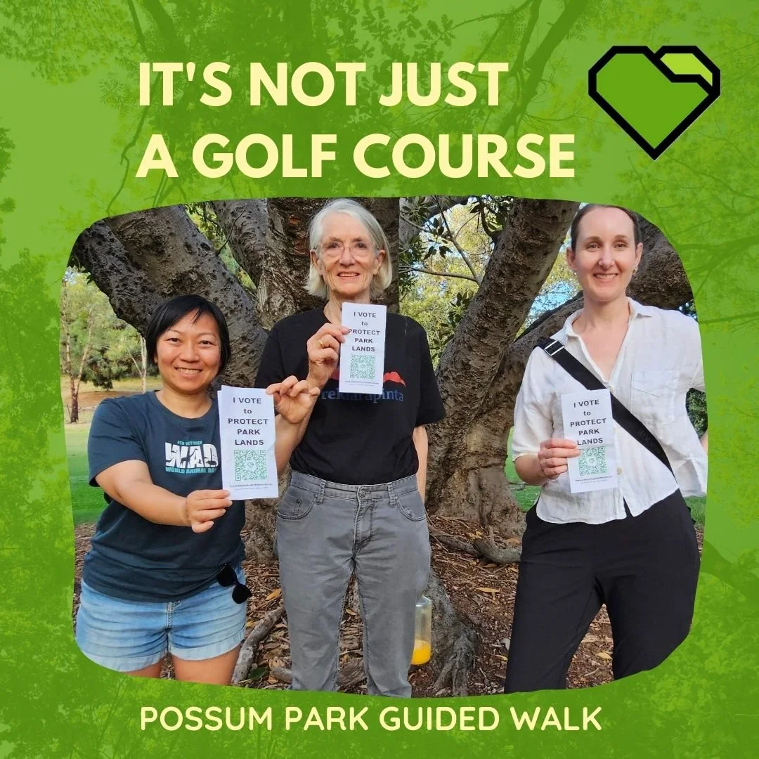 TWILIGHT GUIDED WALK IN POSSUM PARK / PIRLTAWARDLI (PARK 1)

Last night we held the second of our twilight walks in Possum Park / Pirltawardli, exploring the hidden biodiversity flourishing between the golf fairways &mdash; and learning what&rsquo;s 