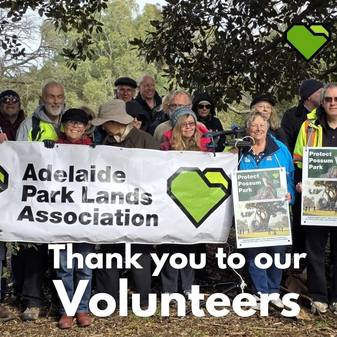 THANK YOU TO OUR VOLUNTEERS

We are grateful for our incredible APA volunteers who show up, speak up, and stand up for Adelaide&rsquo;s Park Lands. Your passion keeps our city&rsquo;s green heart beating.

You can join us by registering via our webpa