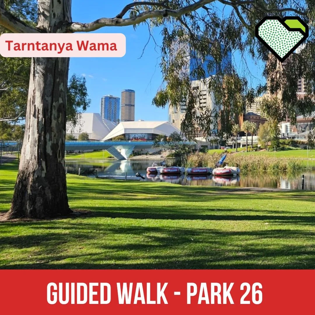 Just over a dozen walkers joined our guided tour of Park 26 Tarntanya Warma (Park 26) on Sunday, covering everything from flying to footy and the birth of a city. Our Guide Rod Lewis brought his usual sense of humour and bad dad jokes to lead the tra