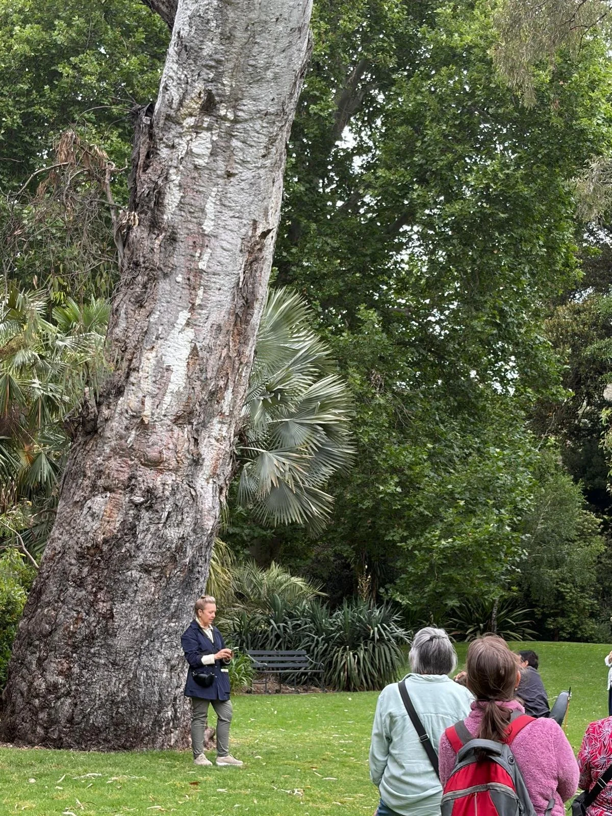 APA's Guided Walk on 14 December through the Botanic Garden, Park 11