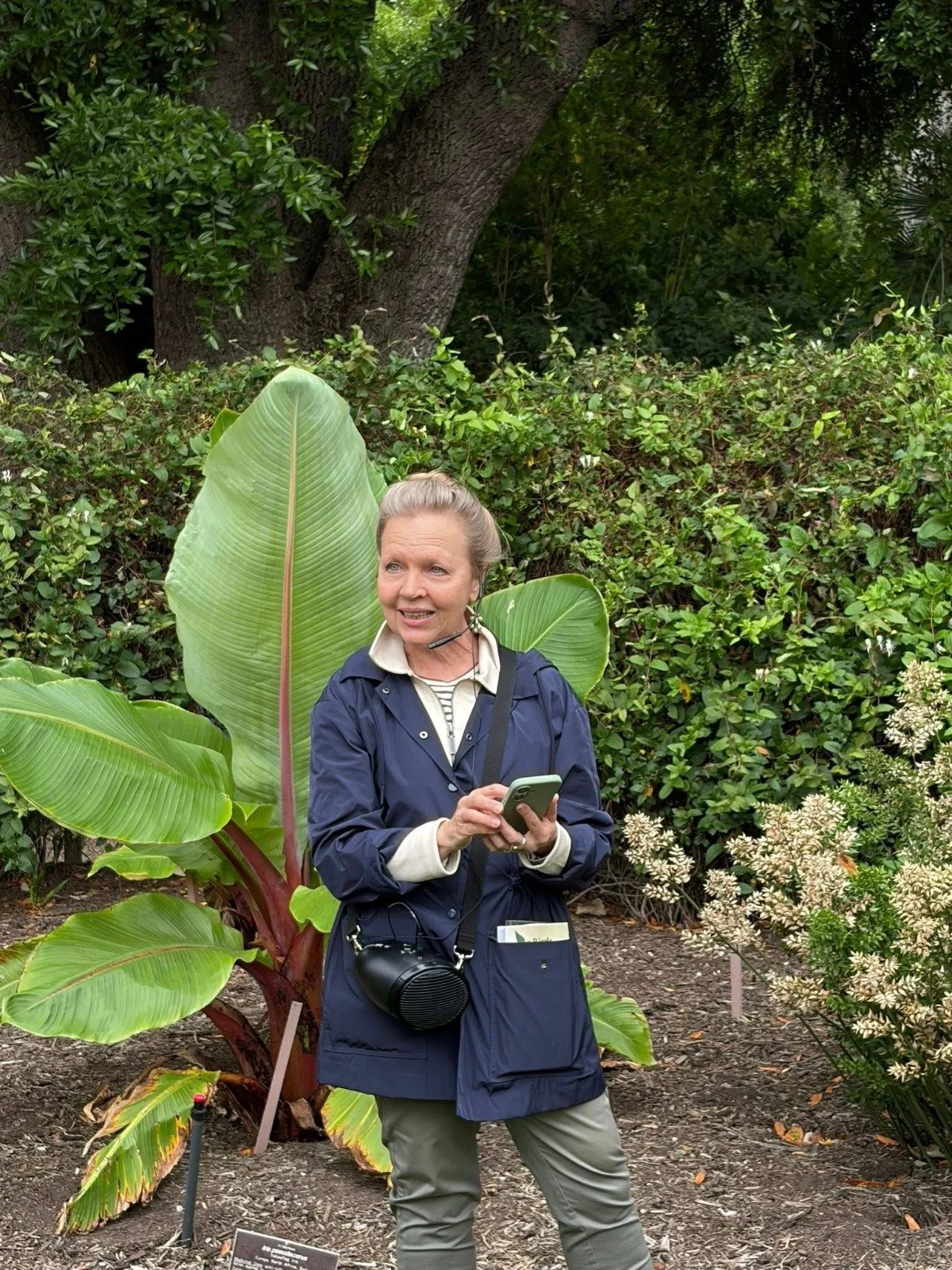 APA's Guided Walk on 14 December through the Botanic Garden, Park 11