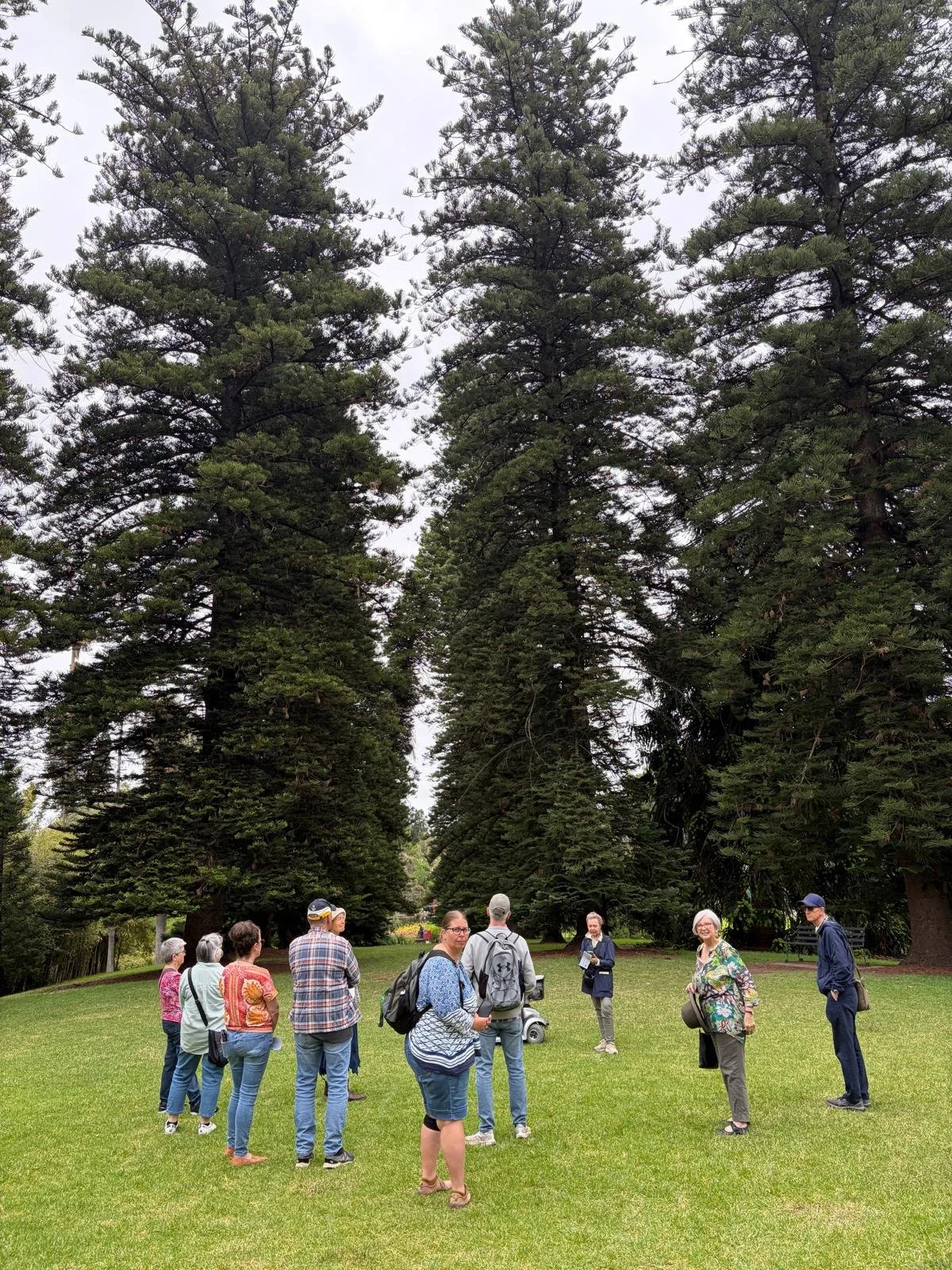 APA's Guided Walk on 14 December through the Botanic Garden, Park 11