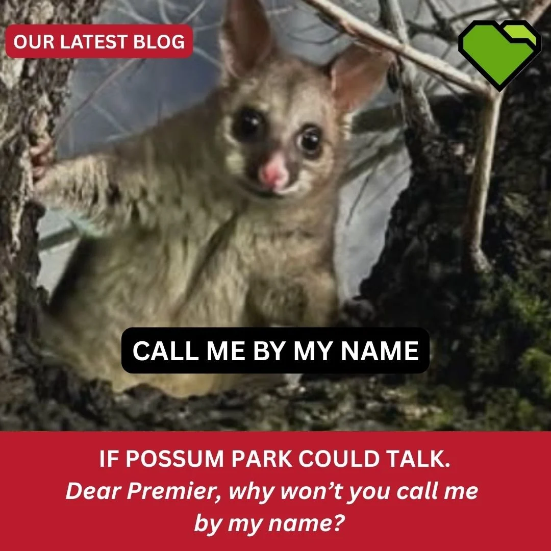 CALL ME BY MY NAME

Dear Premier, why won&rsquo;t you call me by my name?  If you are going to chop down my trees, why won&rsquo;t you look me in the forest and tell me straight?  Yours sincerely, Pirltawardli &hellip;.

#ProtectAdelaideParkLands #Ad