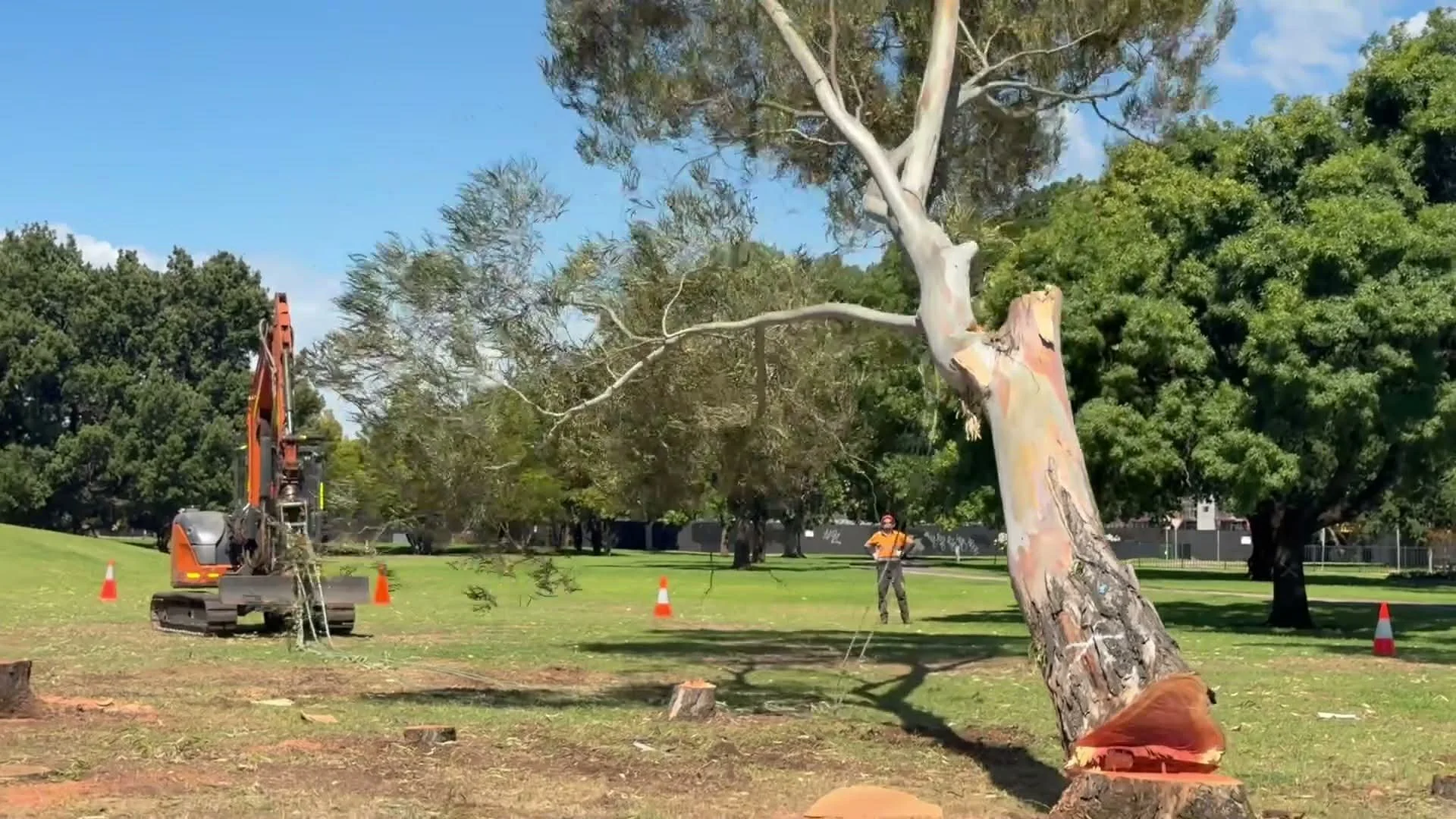 What you stand to lose