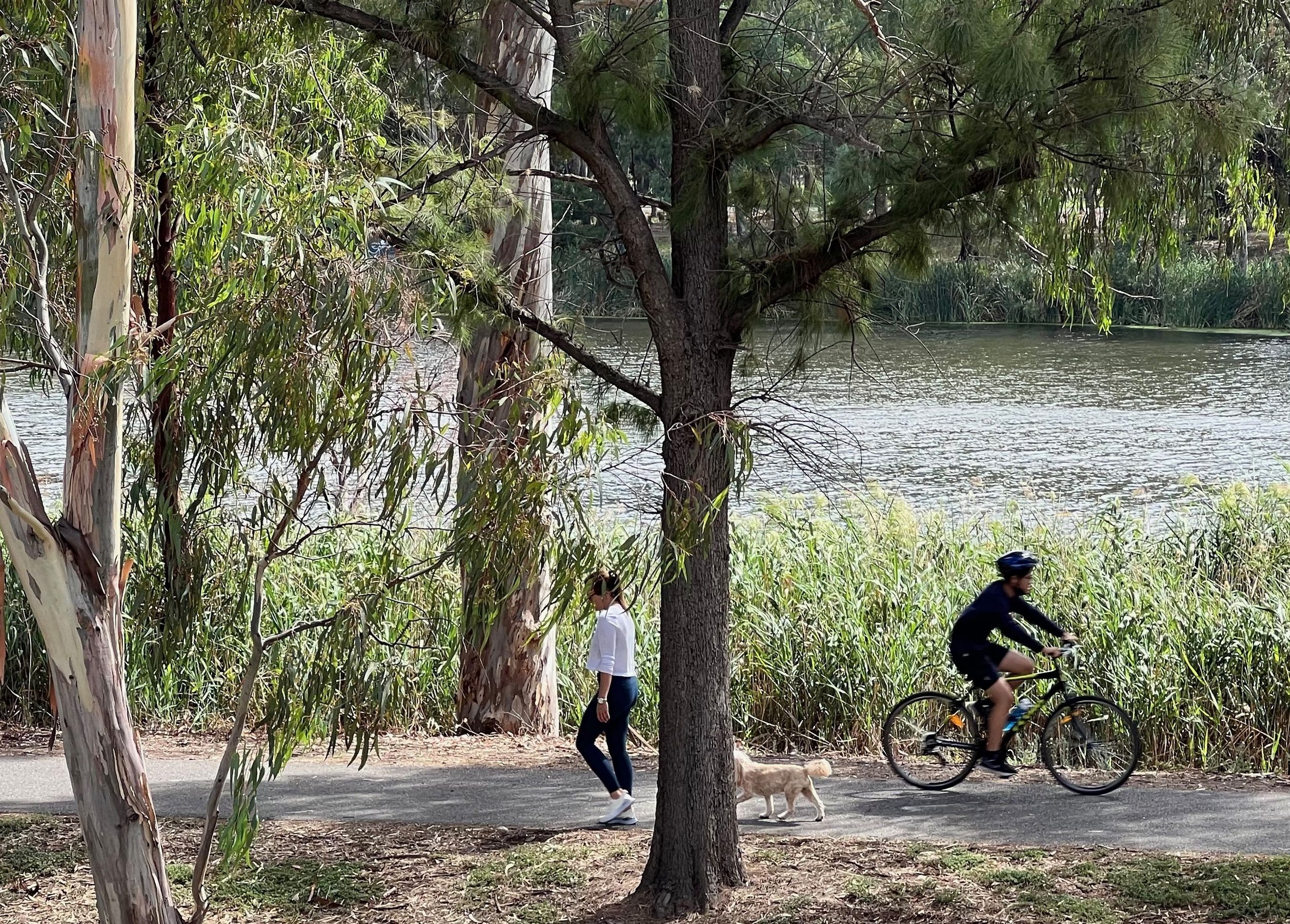 51930725141_6f08f3a119_o (1).jpg