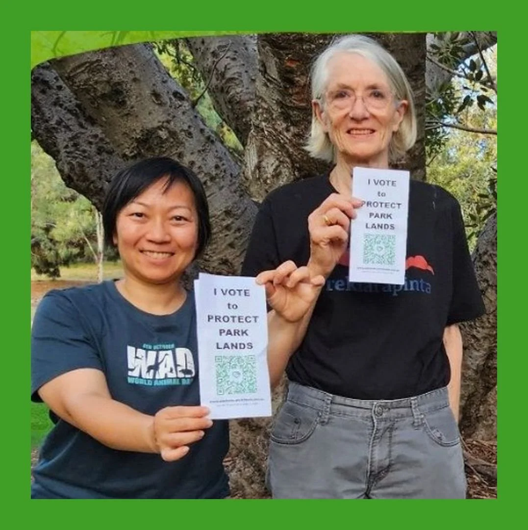 Screenshot 2026-01-21 111031-b.jpg