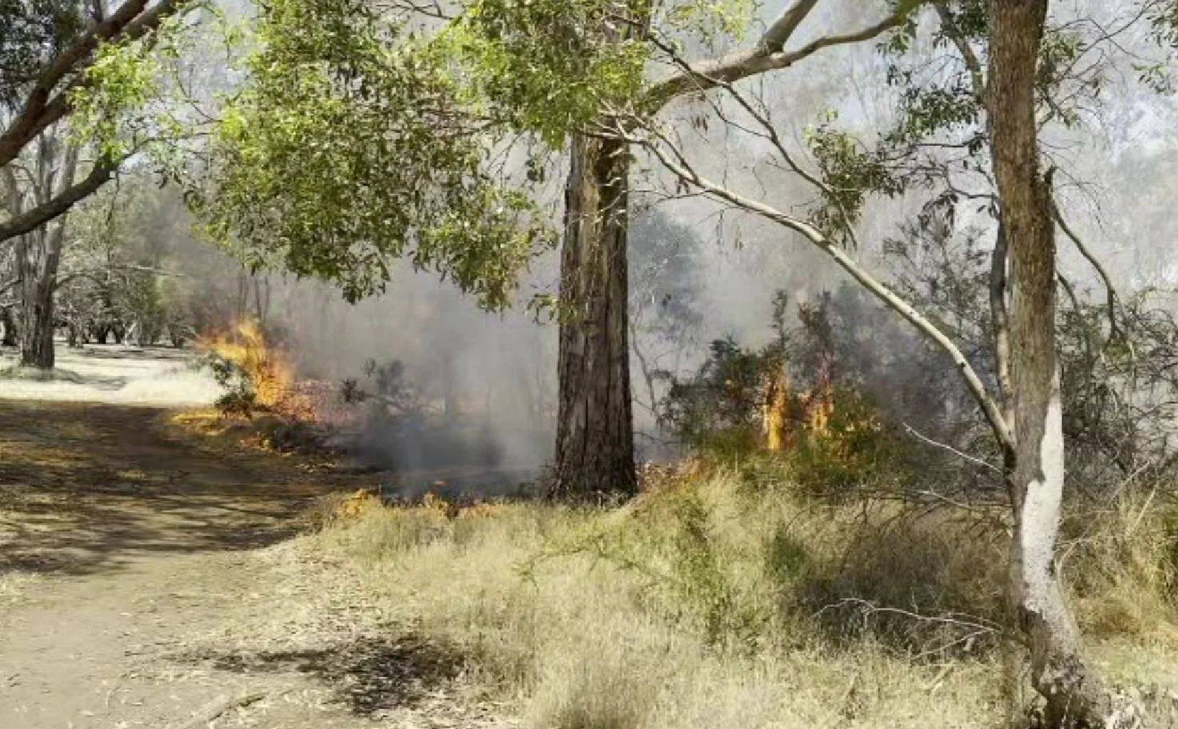 Arsonist still at large