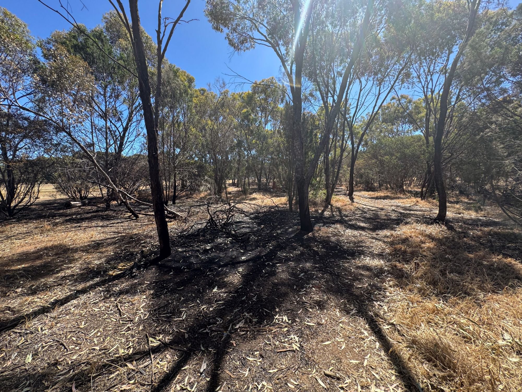 Aftermath on 5 January, of yet another fire in Park 21.  Pic: Peter Sansom