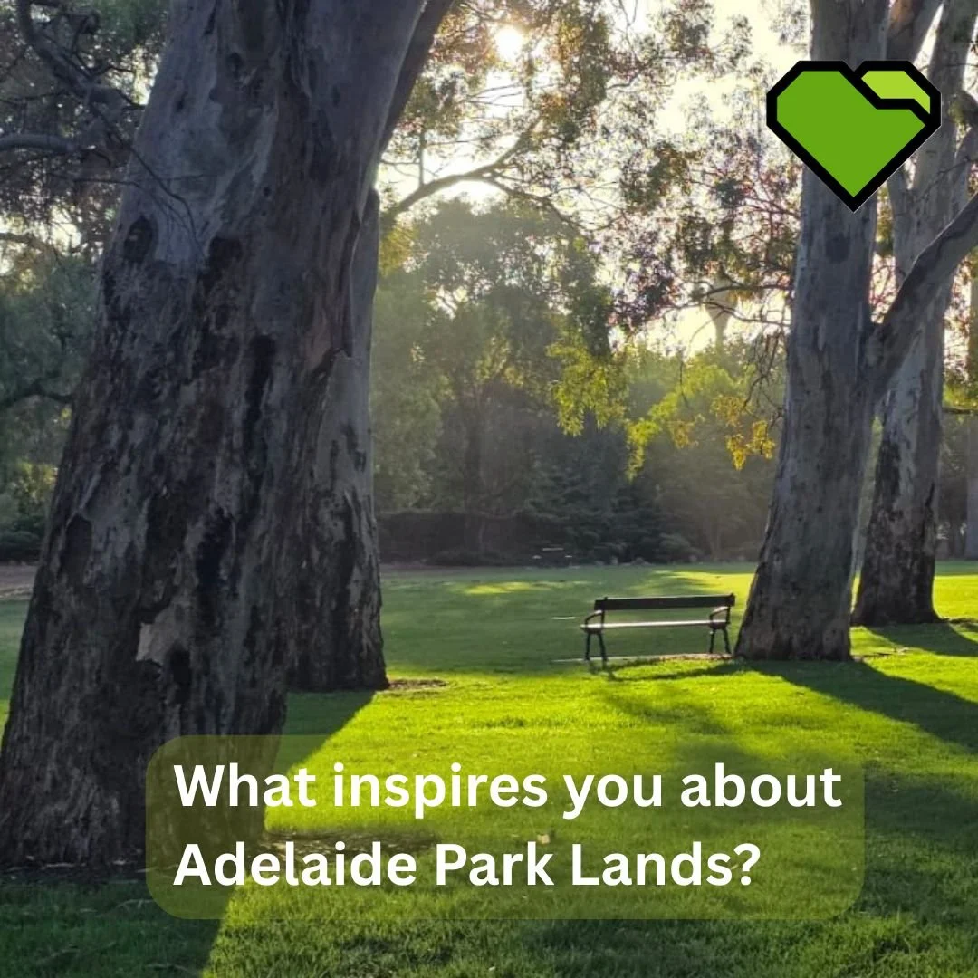 INSPIRE: A QUIET SPACE

&ldquo;Sometimes I sits and think, and sometimes I just sits.&rdquo; &mdash; Winnie the Pooh,  A. A. Milne

In a noisy world of constant scrolling, the Adelaide Park Lands offer something rare: quiet spaces to simply sit, thin