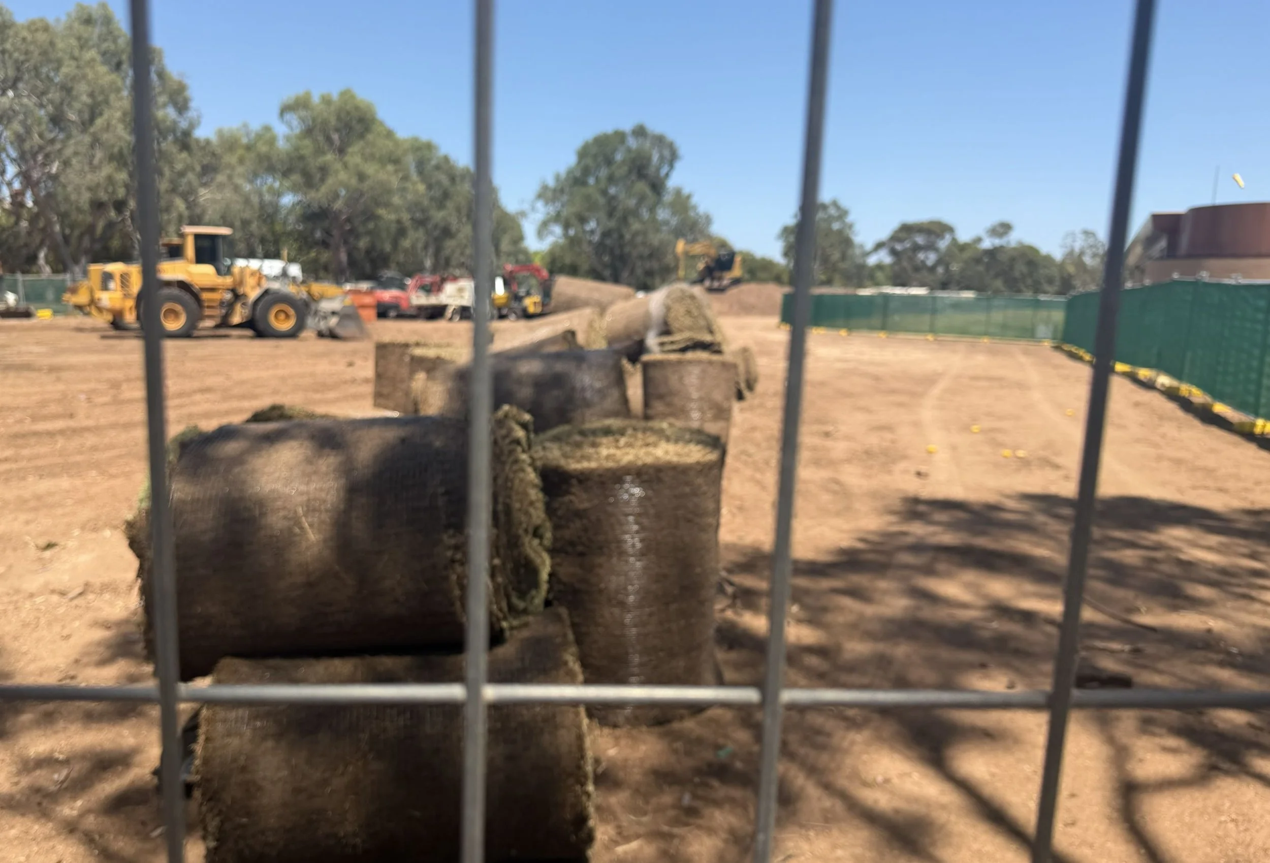 Wed 28 Jan, 2025.  Pic: Shane Sody