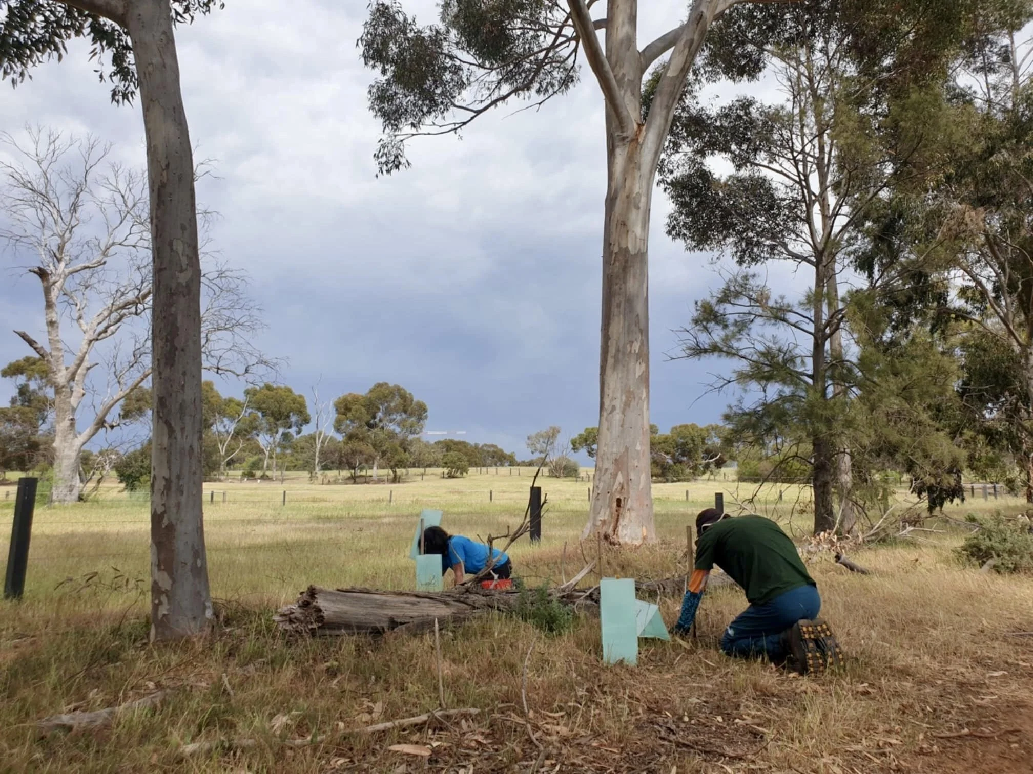 Park 6.  Pic: Trish Russell