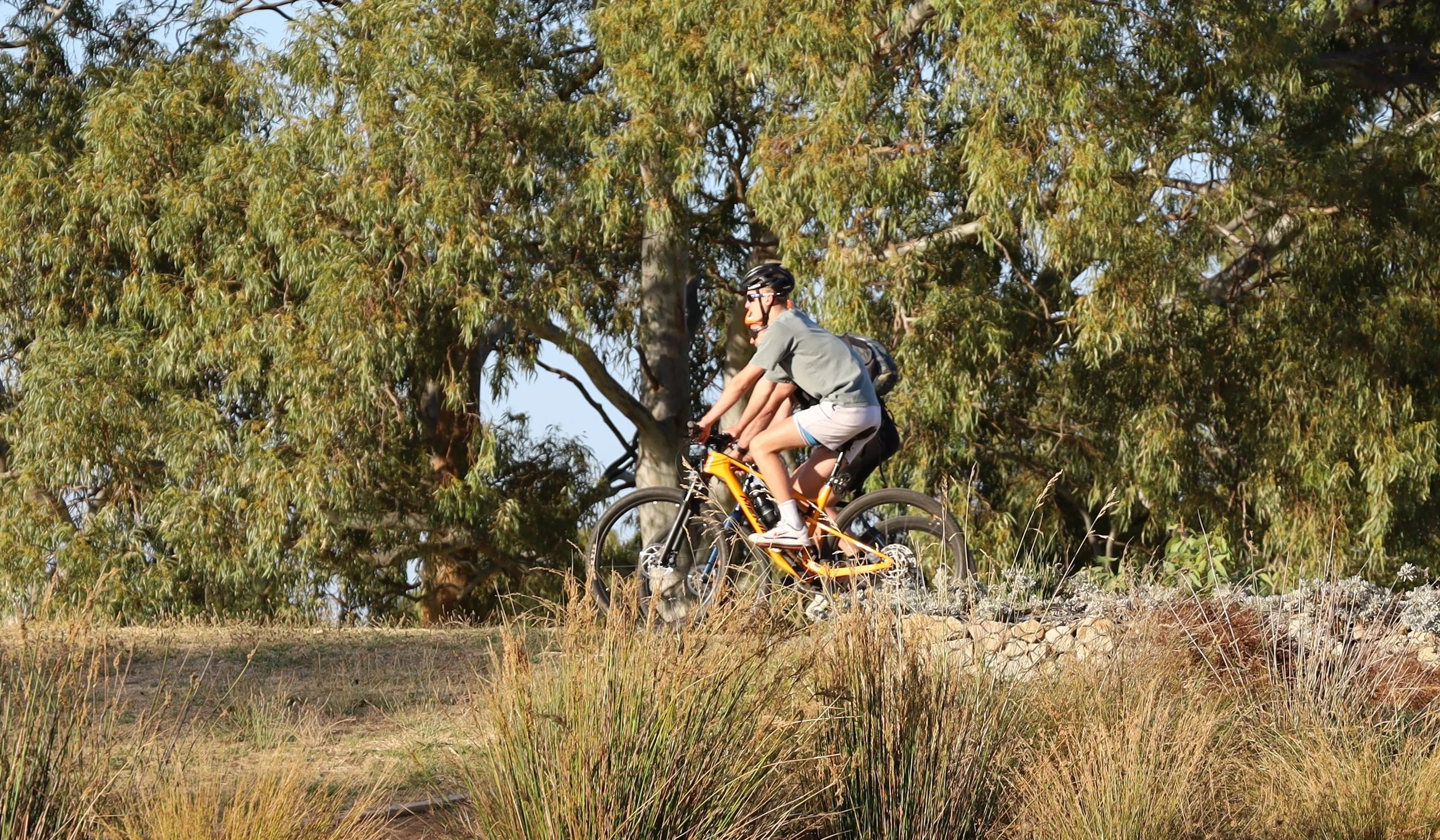 Park 16.  Pic: Jan Bowman