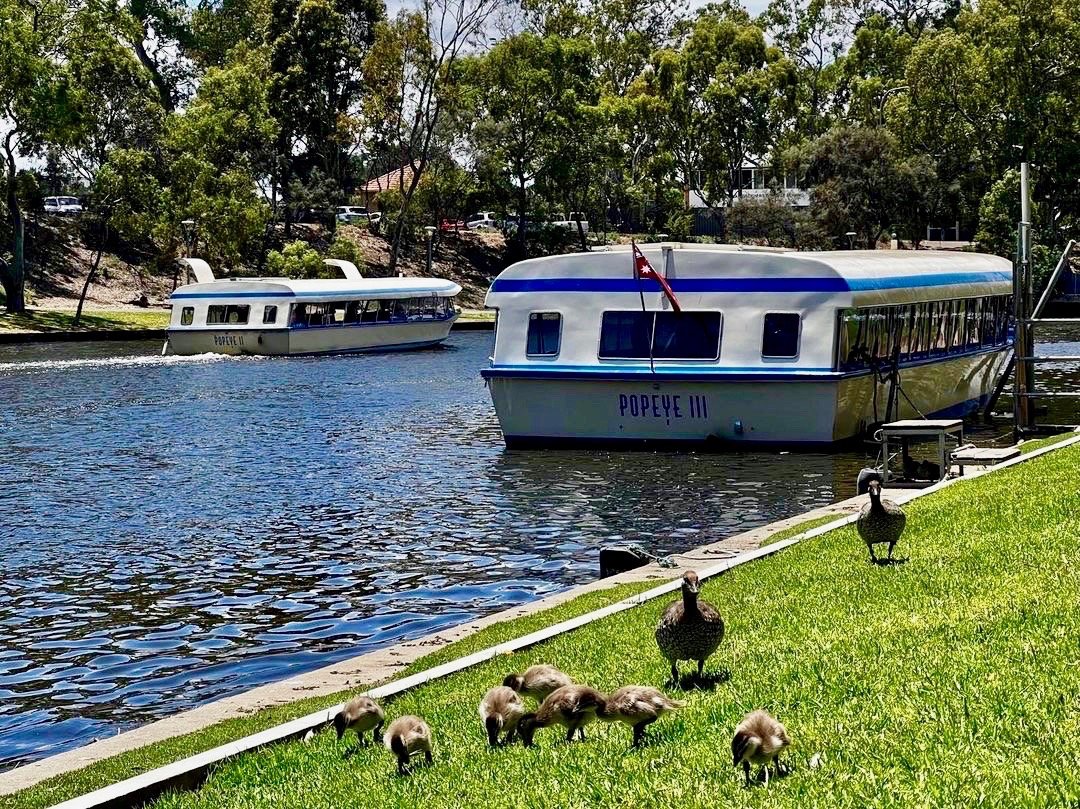 Park 12. Pic: Shane Sody