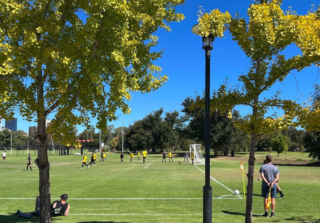 Park 12. Pic: Shane Sody