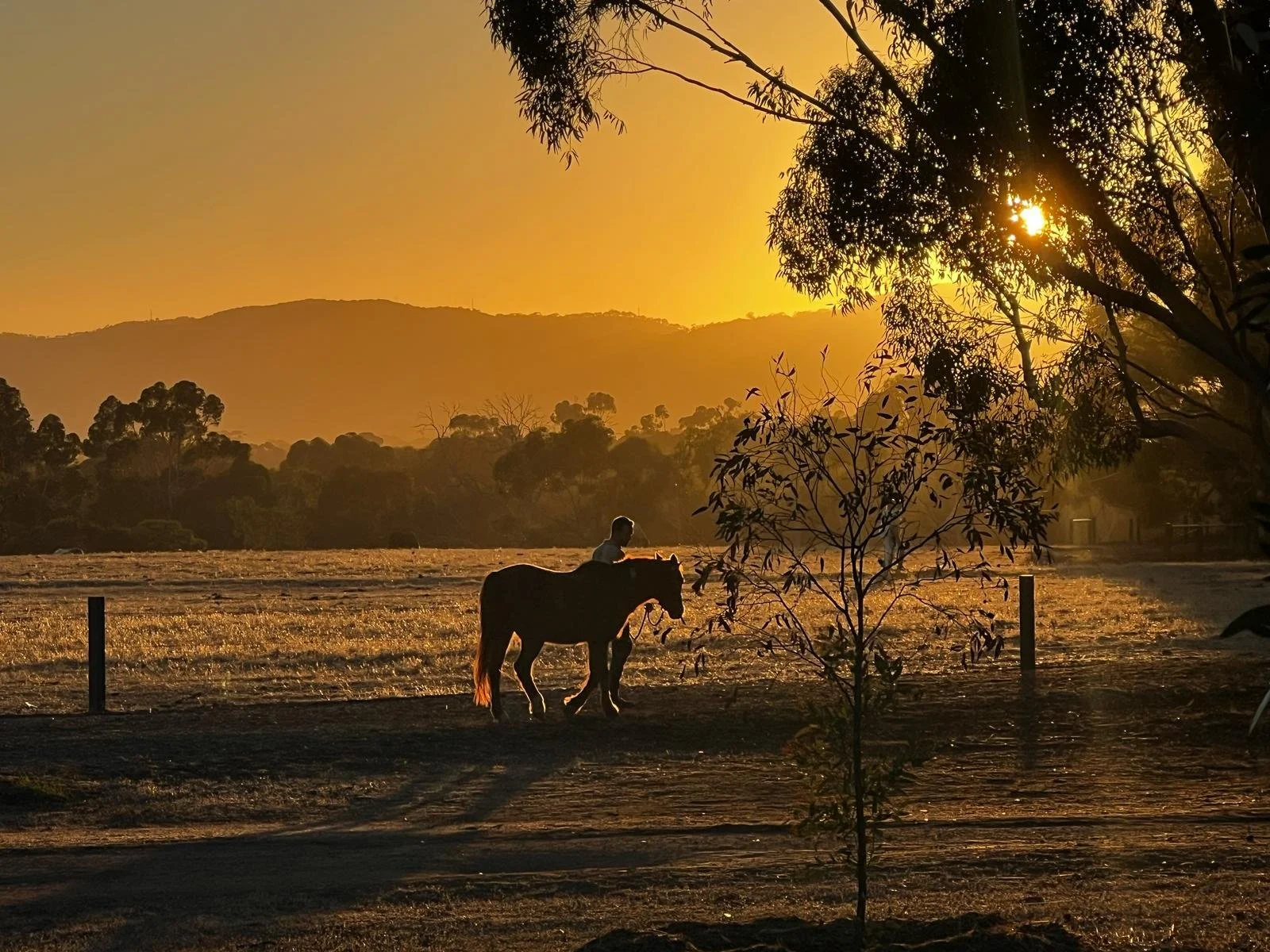 Park 6. Pic: Shane Sody