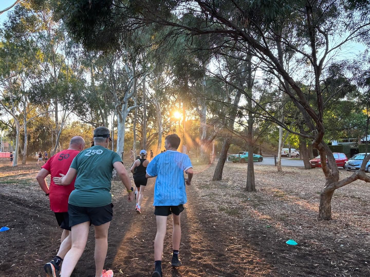 Park 6.  Pic: Ted Jennings