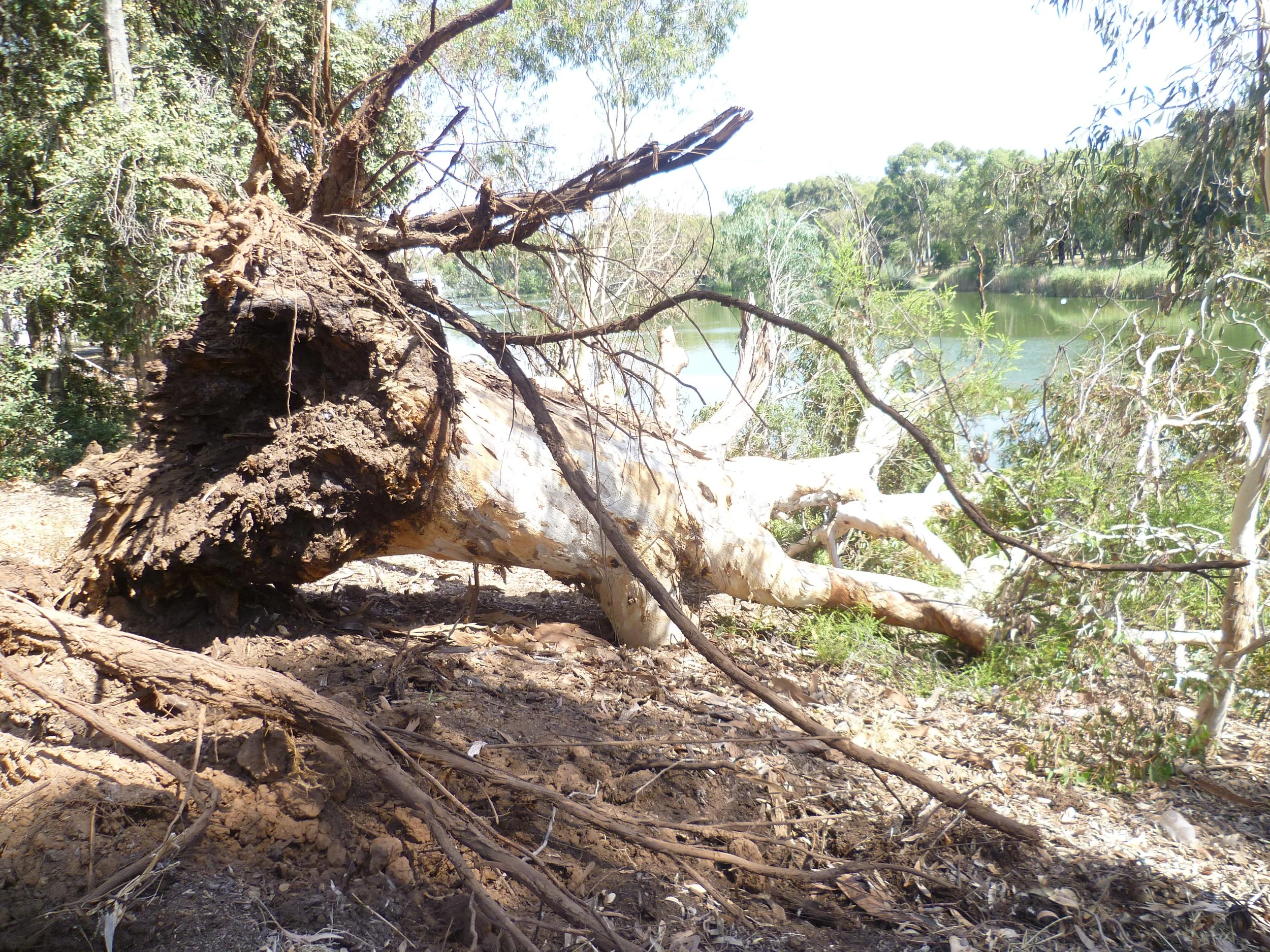 Heat stress made worse