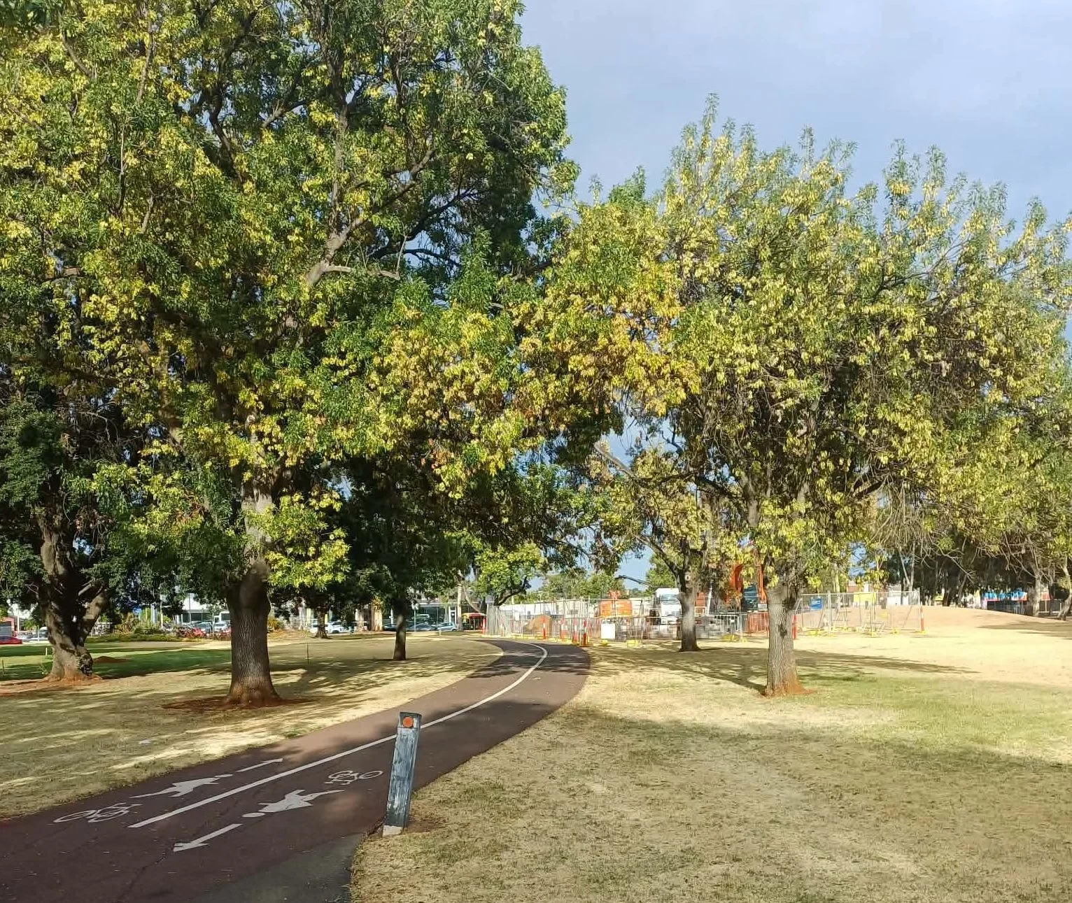 Pic:  30 January - Kim Woods