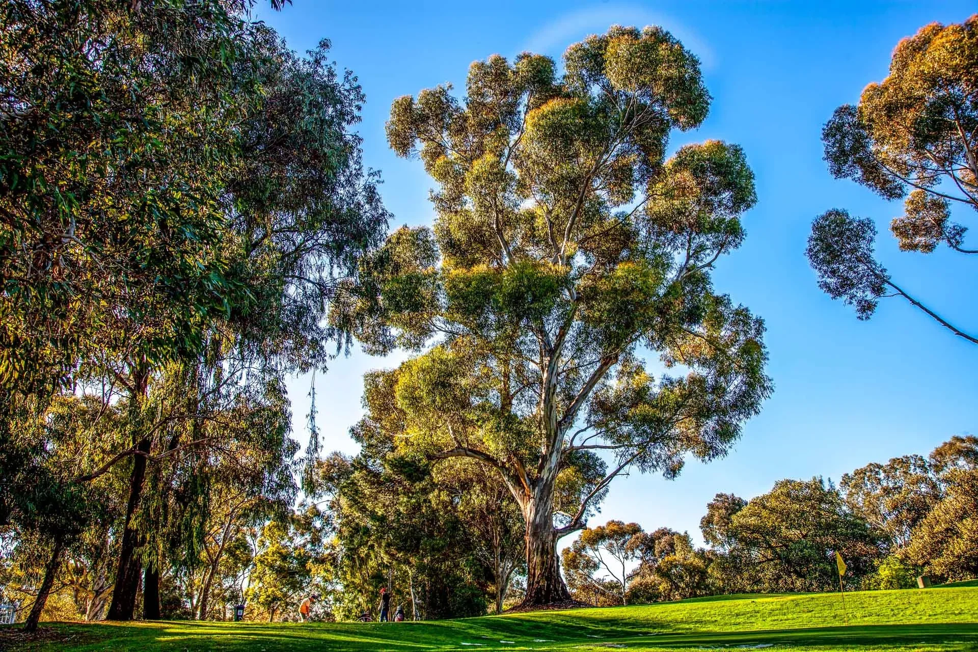 Release the hit list - Council backs APA's call