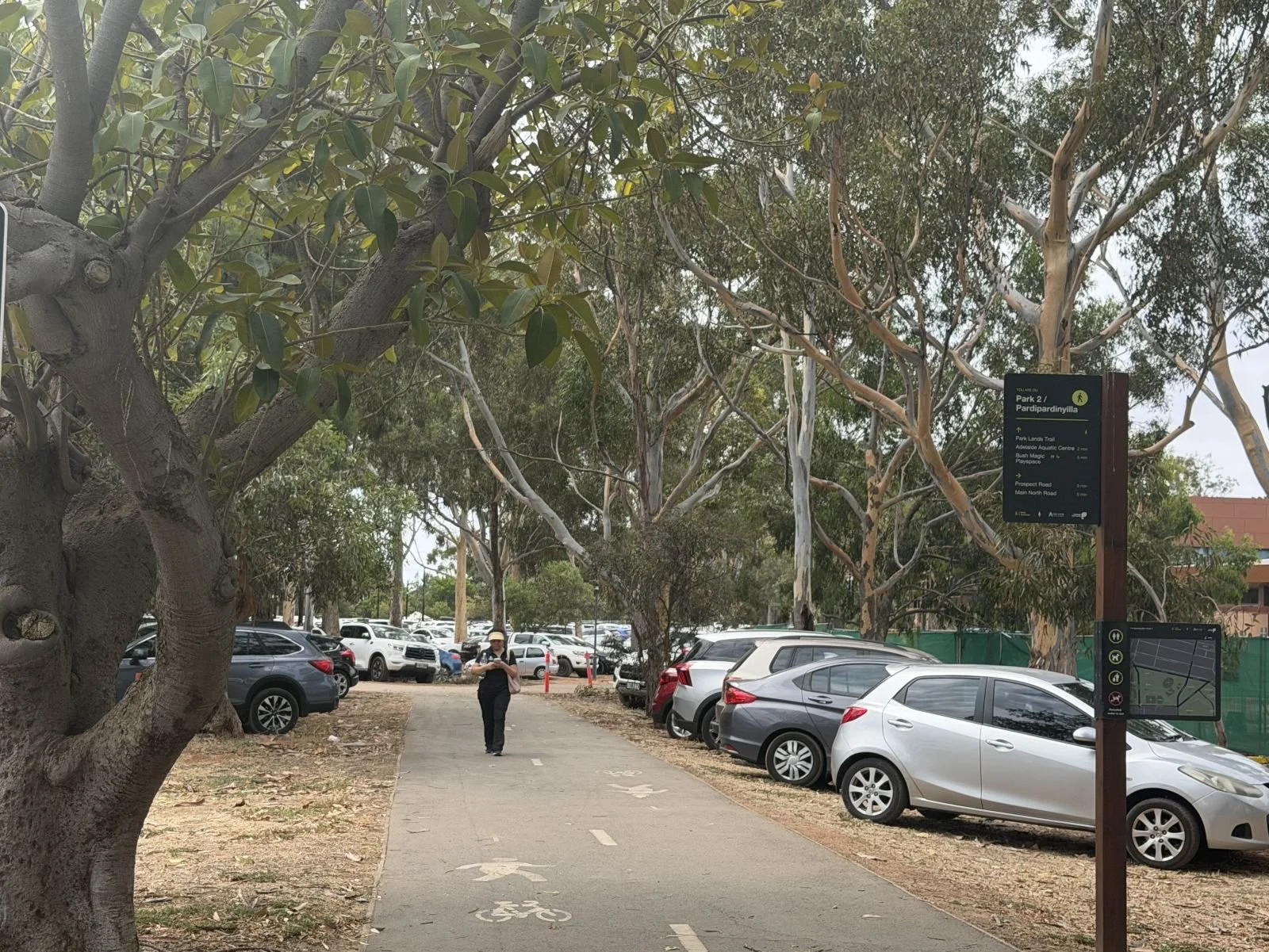 An estimated 600 cars, spilling out of the 450-space car park, 31 Jan 2026