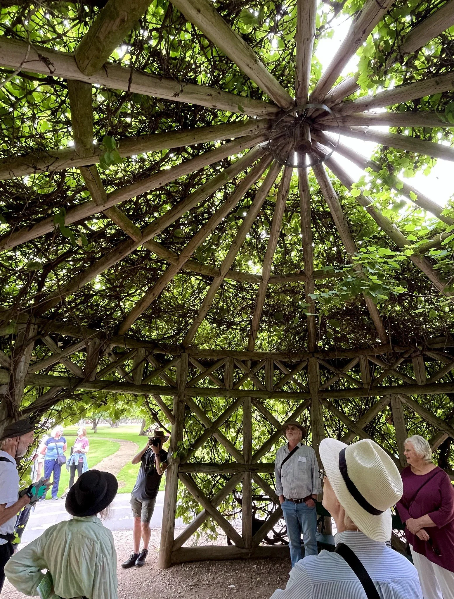 54162814851_6de8bbeedc_k (1).jpg