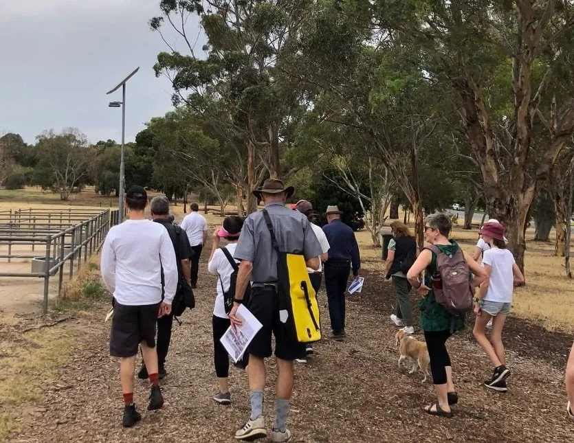 One of the features of Lefevre Park / Nantu Wama (Park 6) is the bridle track around the Park. It&rsquo;s not just for horses, but also walkers, and occasionally for cyclocross (bike) racing. On our 2-hour Guided Walk this Sunday you&rsquo;ll walk on