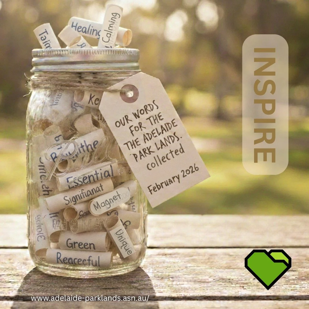 The response to fill the jar was overwhelming. With sentiments such as Sanctuary, Calming, Healing, Connection and Essential resonating for many. 

Clearly the Adelaide Park Lands is a much loved and very needed space. 

Happy Valentines Day ❤❤ Showi