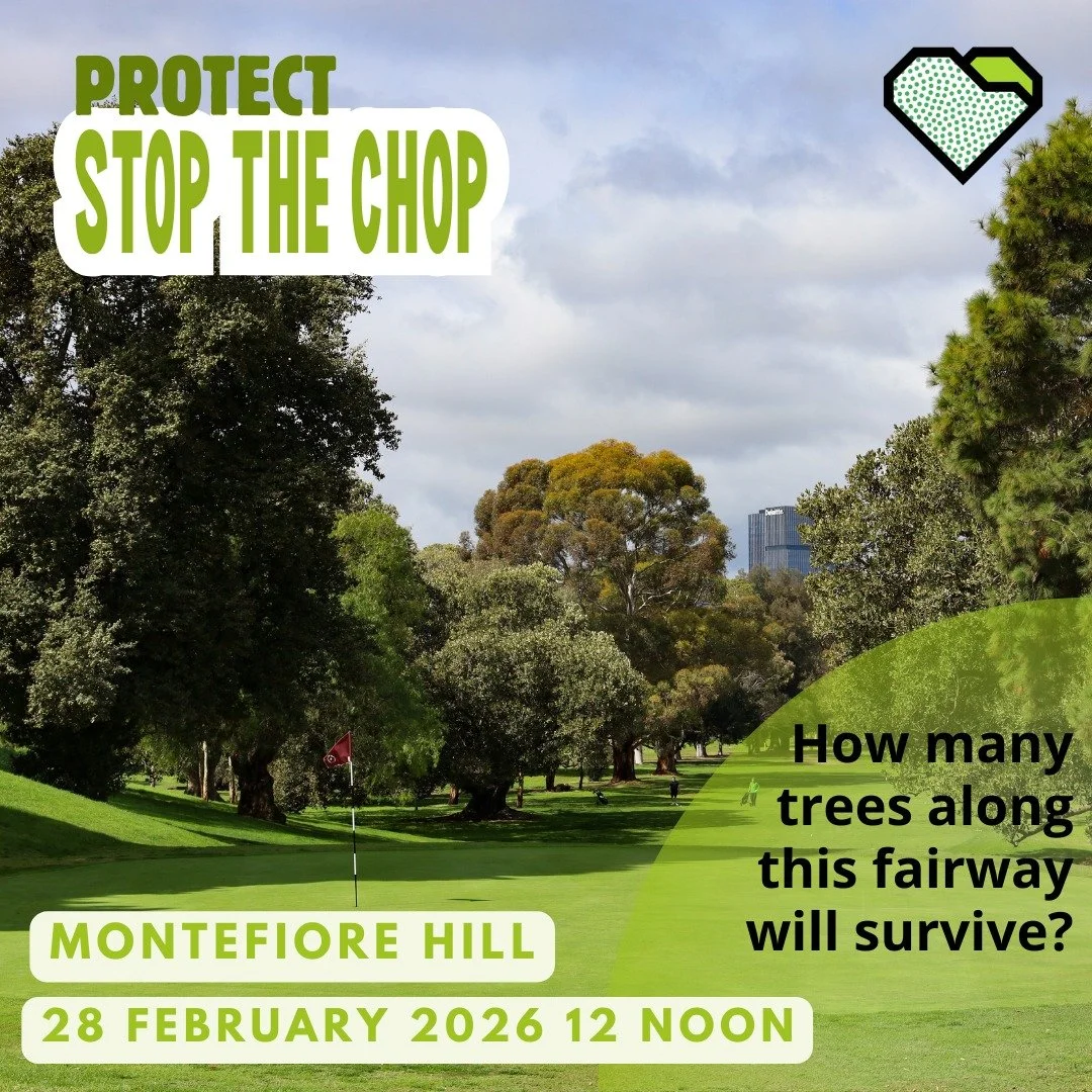 It is a guessing game to know which trees are marked for removal. Show your support and attend a rally on Saturday 28 February. 

Bring your own sign, and a toy axe or toy chainsaw as a message to the Premier. 

Saturday, 28 February, 12 noon, at Mon
