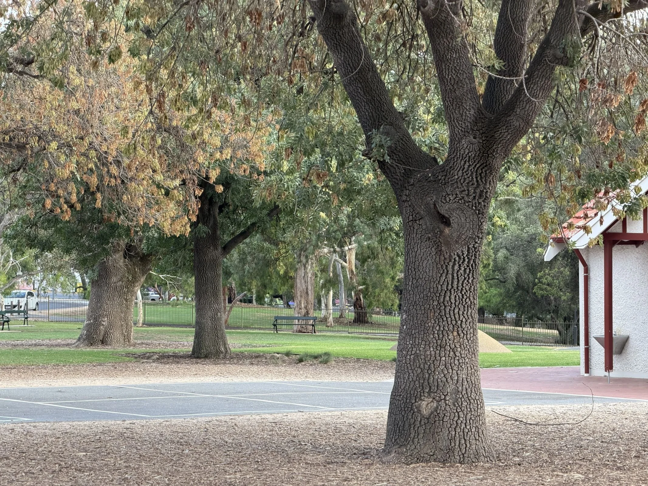 Site #4 - Glover playground corner, on the motorcycle race route