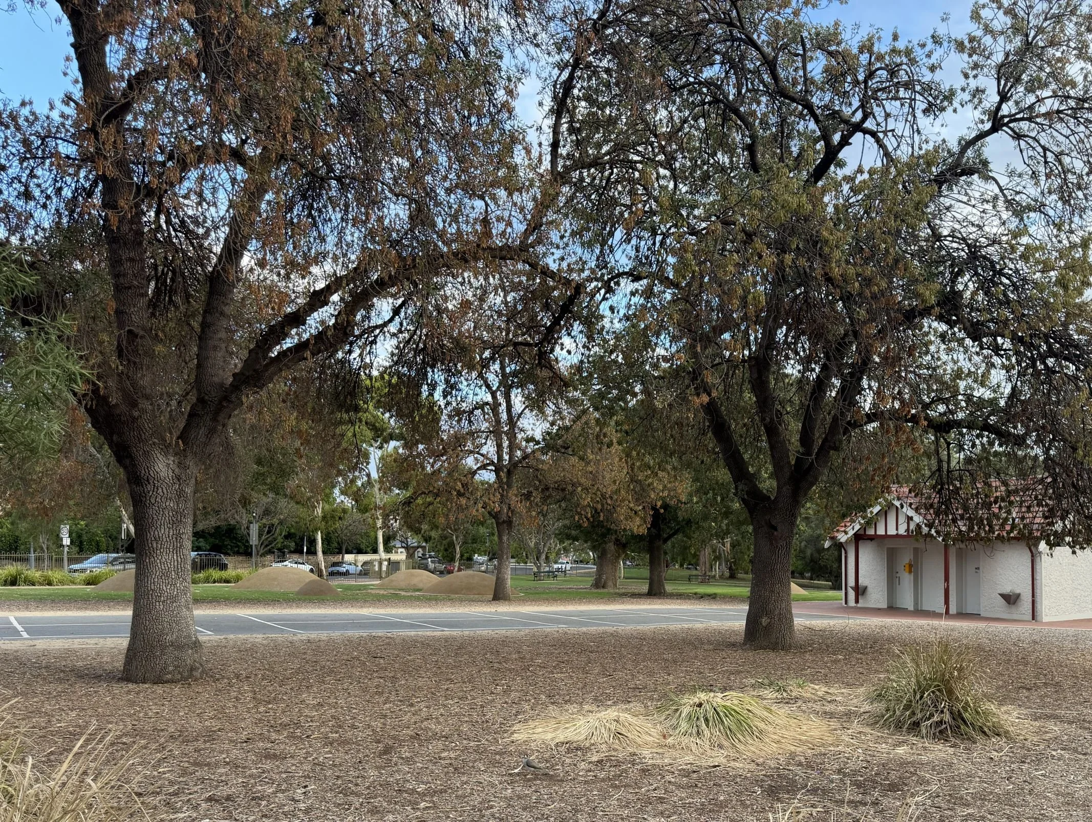 Site #4 - Glover playground corner, on the motorcycle race route