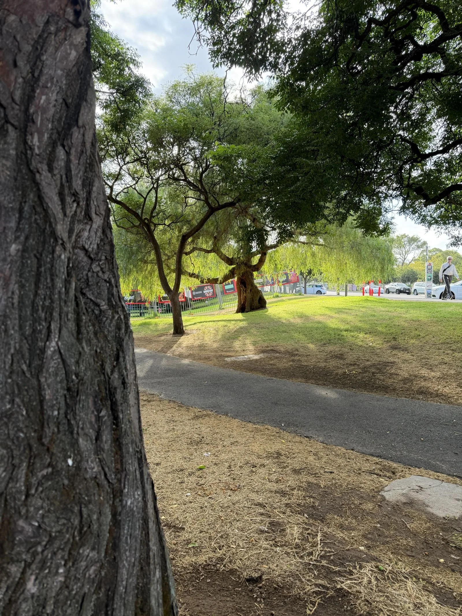 Site #6 - Rundle Rd corner, likely to be cleared for runoff area?
