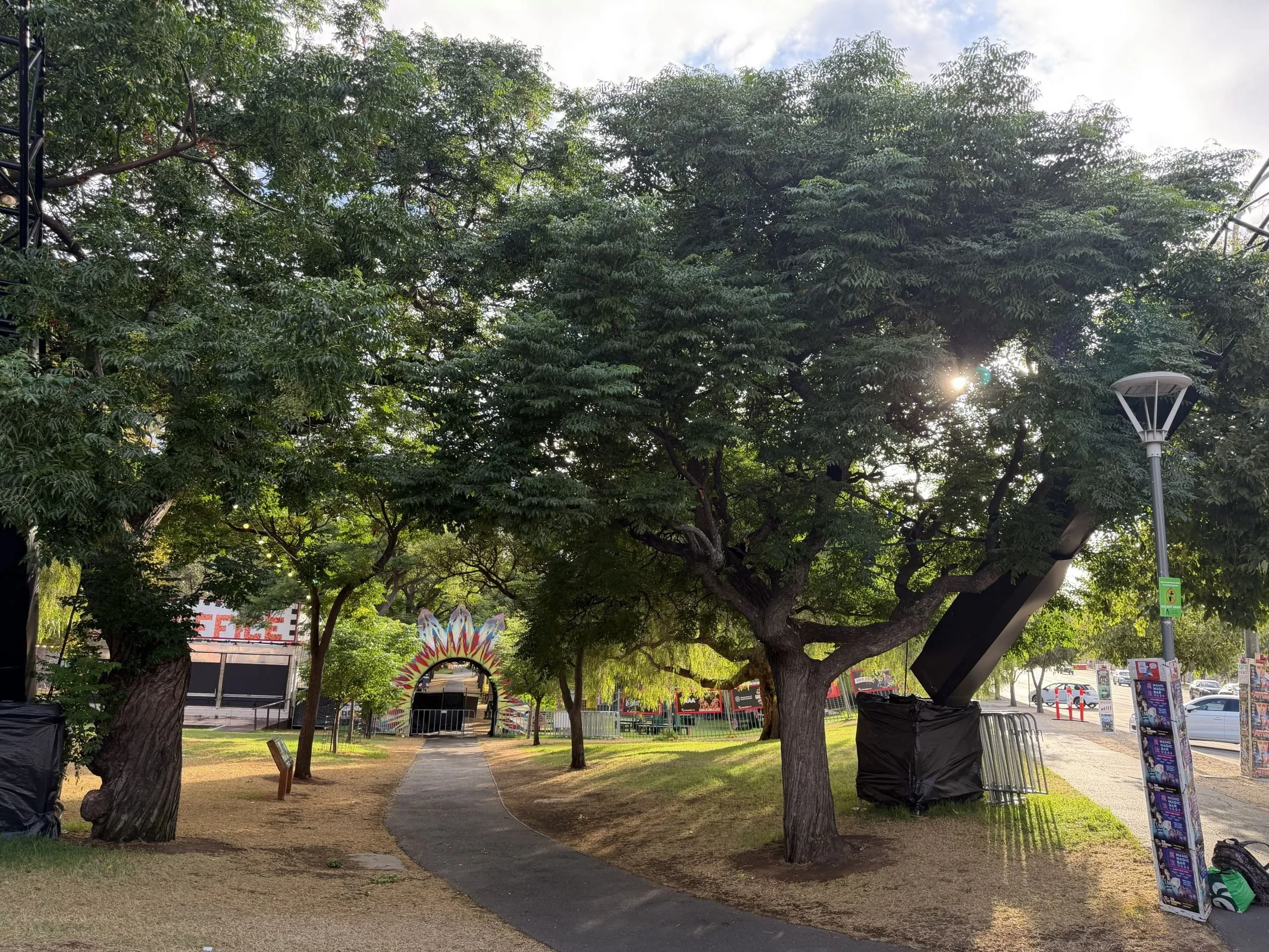 Site #6 - Rundle Rd corner, likely to be cleared for runoff area?