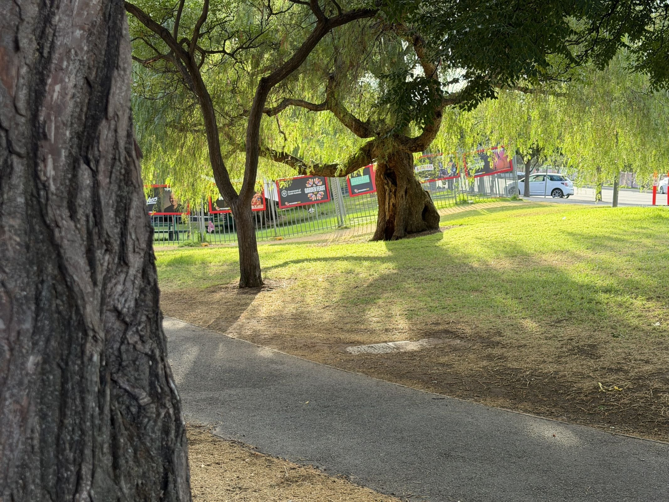 Site #6 - Rundle Rd corner, likely to be cleared for runoff area?