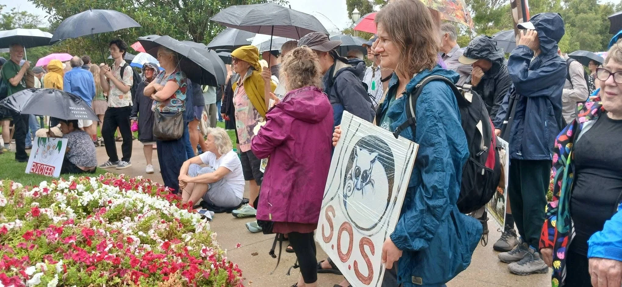 Two hundred rally to "Stop the Chop"