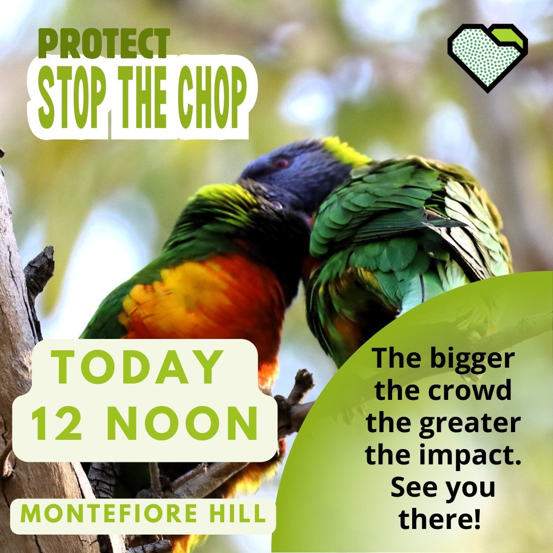 PROTECT: TODAY is the day

Gather at Montefiore Hill at 12 noon to tell the Premier: your Park Lands must not be pillaged.

Join the rally 🌳  Stop the Chop 🌳 

BrIng your own sign, and a toy axe or toy chainsaw as a message to the Premier. 

🌳🌳 T