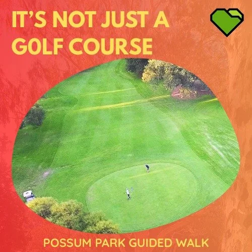 EXPLORE: TWILIGHT GUIDED WALK 12 &ndash; POSSUM PARK/ PIRLTAWADLI (PARK 1)

A small group participated in the Guided walk of Possum Park/Pirltawadli led by Rod Quintrell. 

There are just three more opportunities to do this Guided Walk. 

🌳 Tuesday 