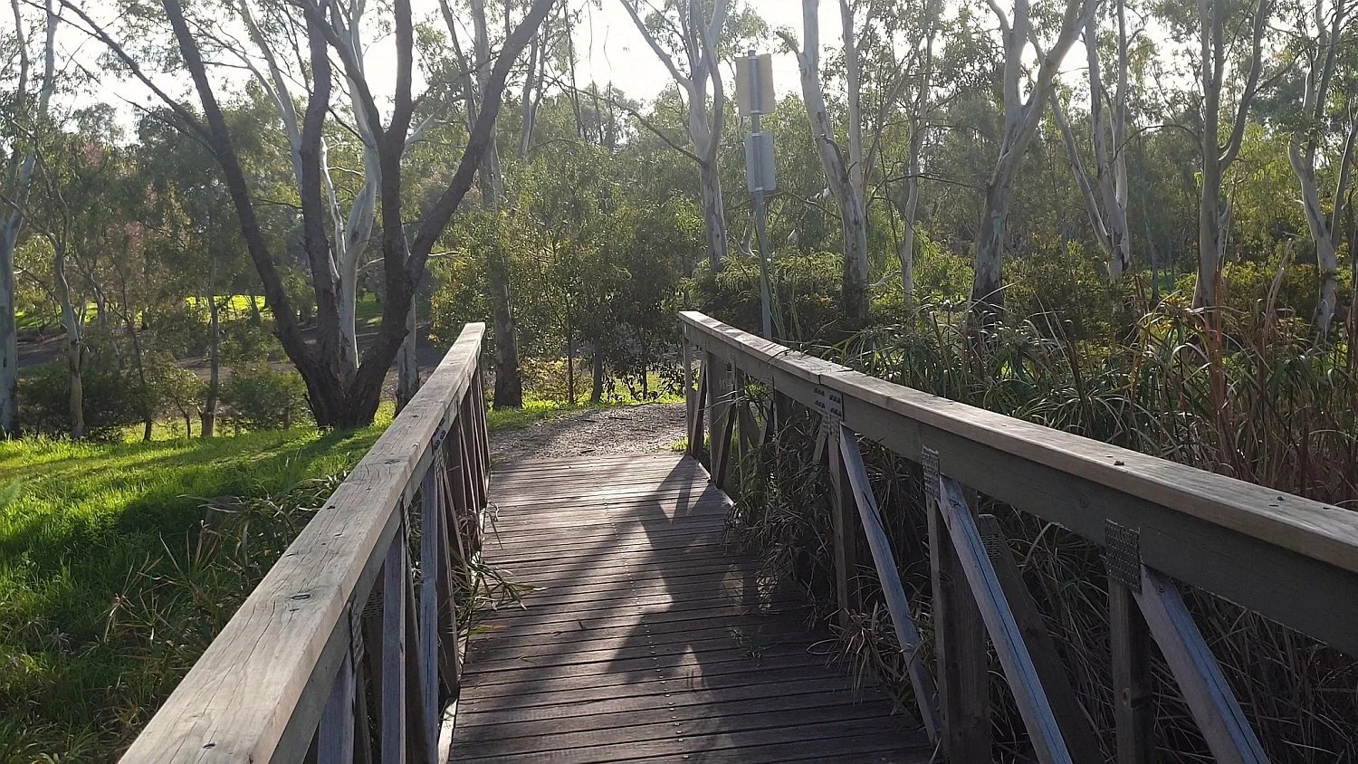 Our Guided Walk next Monday is like no other: partly on a wetland and woodland environmental trail, and partly through Australia's oldest continuously-operating metropolitan cemetery.  Two totally different aspects of G.S. Kingston Park /Wirrarninthi